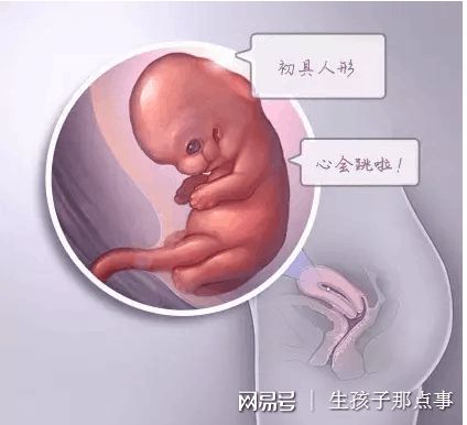 人工高龄供卵代怀微信群